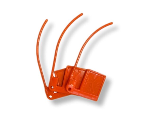 DRAPEAU DE CHAMBRE VIDE